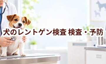 犬のレントゲン検査はいつ受ける？受診前に知っておきたいこと