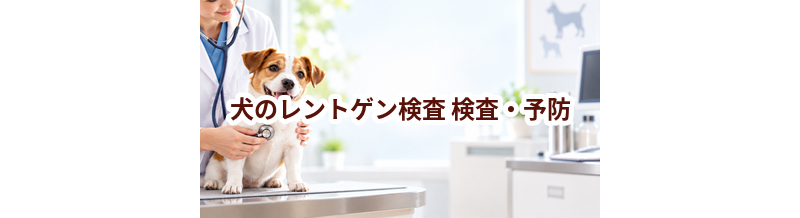 犬のレントゲン検査はいつ受ける？受診前に知っておきたいこと