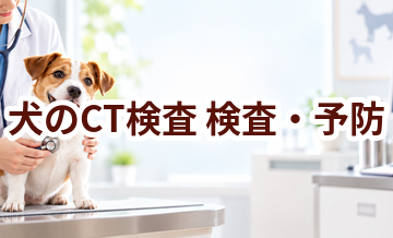犬のCT検査はいつ受ける？受診前に知っておきたいこと