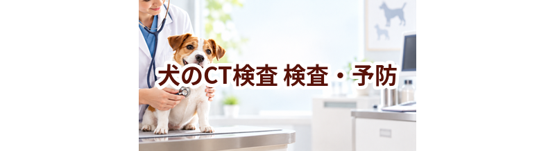犬のCT検査はいつ受ける？受診前に知っておきたいこと