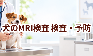犬のMRI検査はいつ受ける？受診前に知っておきたいこと