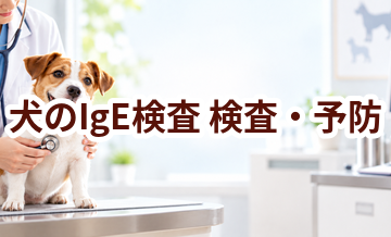 犬のIgE検査はいつ受ける？受診前に知っておきたいこと