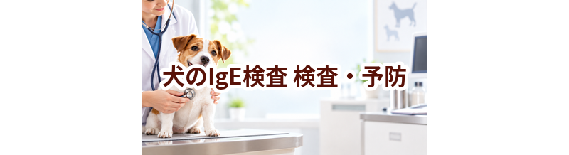 犬のIgE検査はいつ受ける？受診前に知っておきたいこと