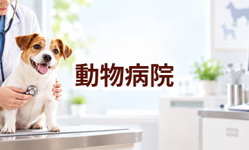 動物病院はどう選ぶ？通いやすさ・診療内容・費用で確認したいこと