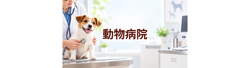 動物病院はどう選ぶ？通いやすさ・診療内容・費用で確認したいこと