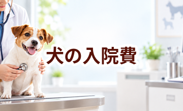 犬の入院費はいくら？1日あたりの費用と準備するもの