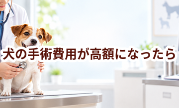 犬の手術費用が高額になったら？支払いに備える方法を整理