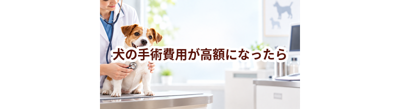 犬の手術費用が高額になったら？支払いに備える方法を整理