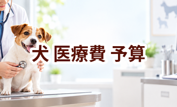 犬の医療費で後悔しないために｜予算を決める前のチェック項目