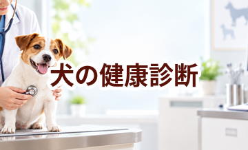 犬の健康診断はいくら？内容・頻度・費用の考え方