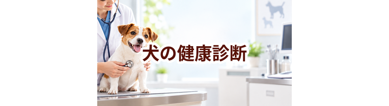 犬の健康診断はいくら？内容・頻度・費用の考え方