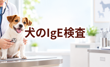 犬のIgE検査はいくら？内容・頻度・費用の考え方