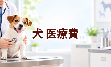 犬の医療費はいくらかかる？年間予算の立て方と節約ポイント