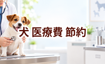 犬の医療費を抑えるには？無理なく続ける節約方法