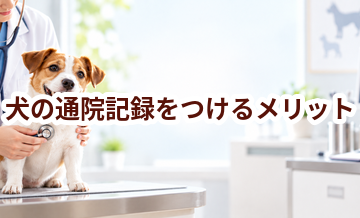 犬の通院記録をつけるメリット｜薬・検査・費用をまとめて管理