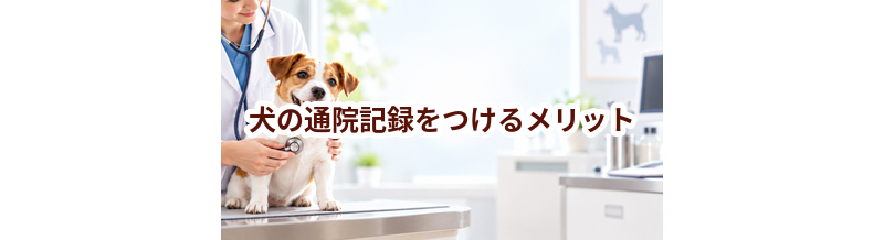 犬の通院記録をつけるメリット｜薬・検査・費用をまとめて管理