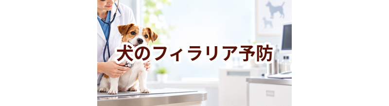犬のフィラリア予防はいくら？内容・頻度・費用の考え方