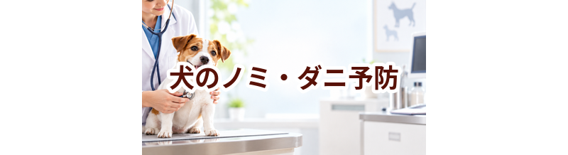 犬のノミ・ダニ予防はいくら？内容・頻度・費用の考え方