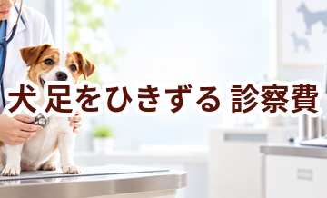 犬が足をひきずるときの診察費はいくら？検査・治療費を考えるときの目安