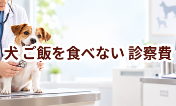 犬がご飯を食べないときの診察費はいくら？検査・治療費を考えるときの目安
