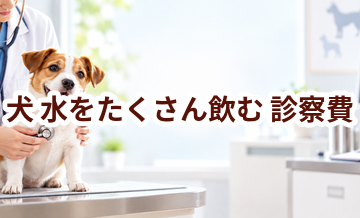 犬が水をたくさん飲むときの診察費はいくら？検査・治療費を考えるときの目安