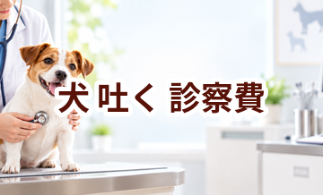 犬が吐くときの診察費はいくら？検査・治療費を考えるときの目安