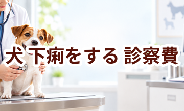 犬が下痢をするときの診察費はいくら？検査・治療費を考えるときの目安