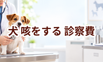 犬が咳をするときの診察費はいくら？検査・治療費を考えるときの目安