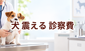 犬が震えるときの診察費はいくら？検査・治療費を考えるときの目安