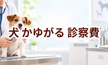 犬がかゆがるときの診察費はいくら？検査・治療費を考えるときの目安