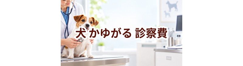 犬がかゆがるときの診察費はいくら？検査・治療費を考えるときの目安