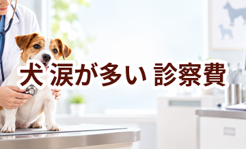 犬が涙が多いときの診察費はいくら？検査・治療費を考えるときの目安