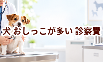 犬がおしっこが多いときの診察費はいくら？検査・治療費を考えるときの目安