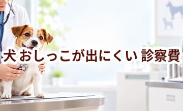 犬がおしっこが出にくいときの診察費はいくら？検査・治療費を考えるときの目安