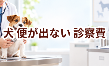 犬が便が出ないときの診察費はいくら？検査・治療費を考えるときの目安