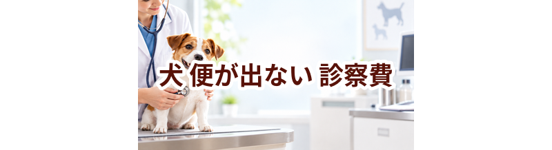 犬が便が出ないときの診察費はいくら？検査・治療費を考えるときの目安