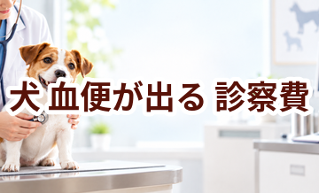 犬が血便が出るときの診察費はいくら？検査・治療費を考えるときの目安