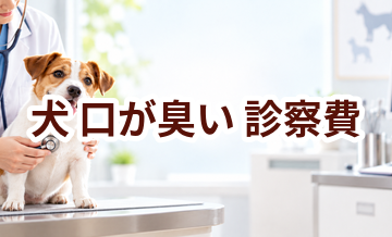 犬が口が臭いときの診察費はいくら？検査・治療費を考えるときの目安