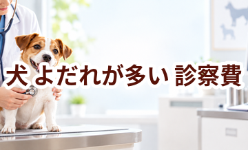 犬がよだれが多いときの診察費はいくら？検査・治療費を考えるときの目安