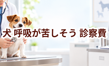 犬が呼吸が苦しそうときの診察費はいくら？検査・治療費を考えるときの目安