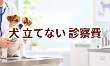 犬が立てないときの診察費はいくら？検査・治療費を考えるときの目安