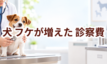 犬がフケが増えたときの診察費はいくら？検査・治療費を考えるときの目安