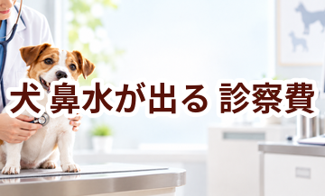 犬が鼻水が出るときの診察費はいくら？検査・治療費を考えるときの目安