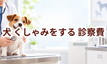 犬がくしゃみをするときの診察費はいくら？検査・治療費を考えるときの目安