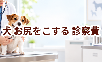 犬がお尻をこするときの診察費はいくら？検査・治療費を考えるときの目安