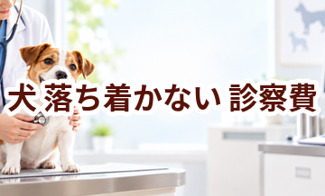 犬が落ち着かないときの診察費はいくら？検査・治療費を考えるときの目安