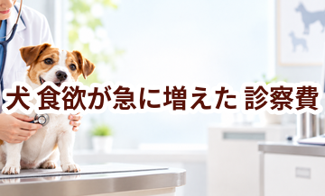 犬が食欲が急に増えたときの診察費はいくら？検査・治療費を考えるときの目安