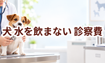 犬が水を飲まないときの診察費はいくら？検査・治療費を考えるときの目安
