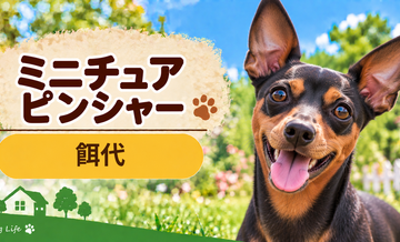 ミニチュアピンシャーの餌代は月いくら？体重からドッグフード代をシミュレーション
