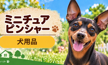 ミニチュアピンシャー向け犬用品の選び方｜ケージ・ベッド・ハーネスをまとめて確認